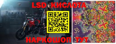 прущие грибы Баксан