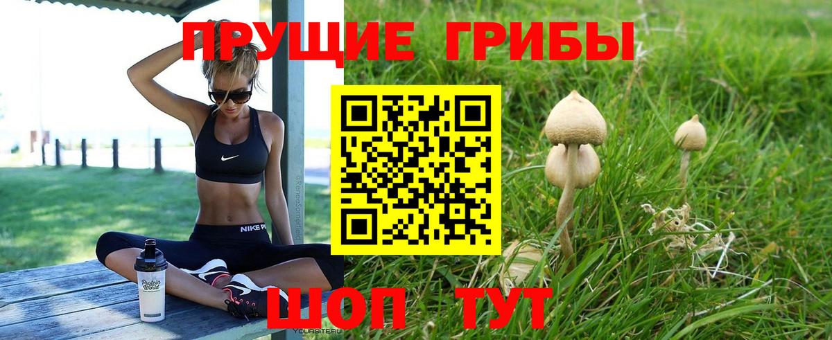 Екатеринбург  Псилоцибиновые грибы Psilocybe  Вход с VPN 